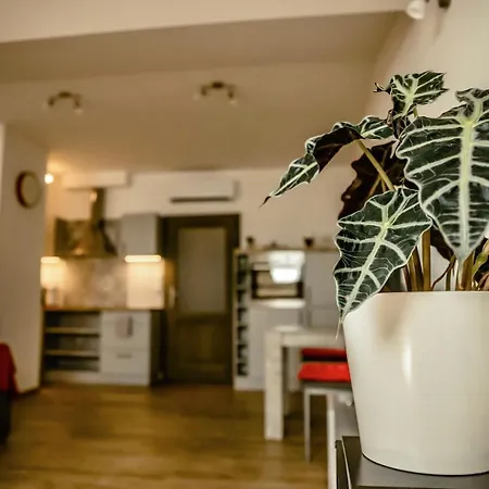 Apartment Podkrovni Na Velkem Namesti S Wi-fi Zdarma Hradec Kralove